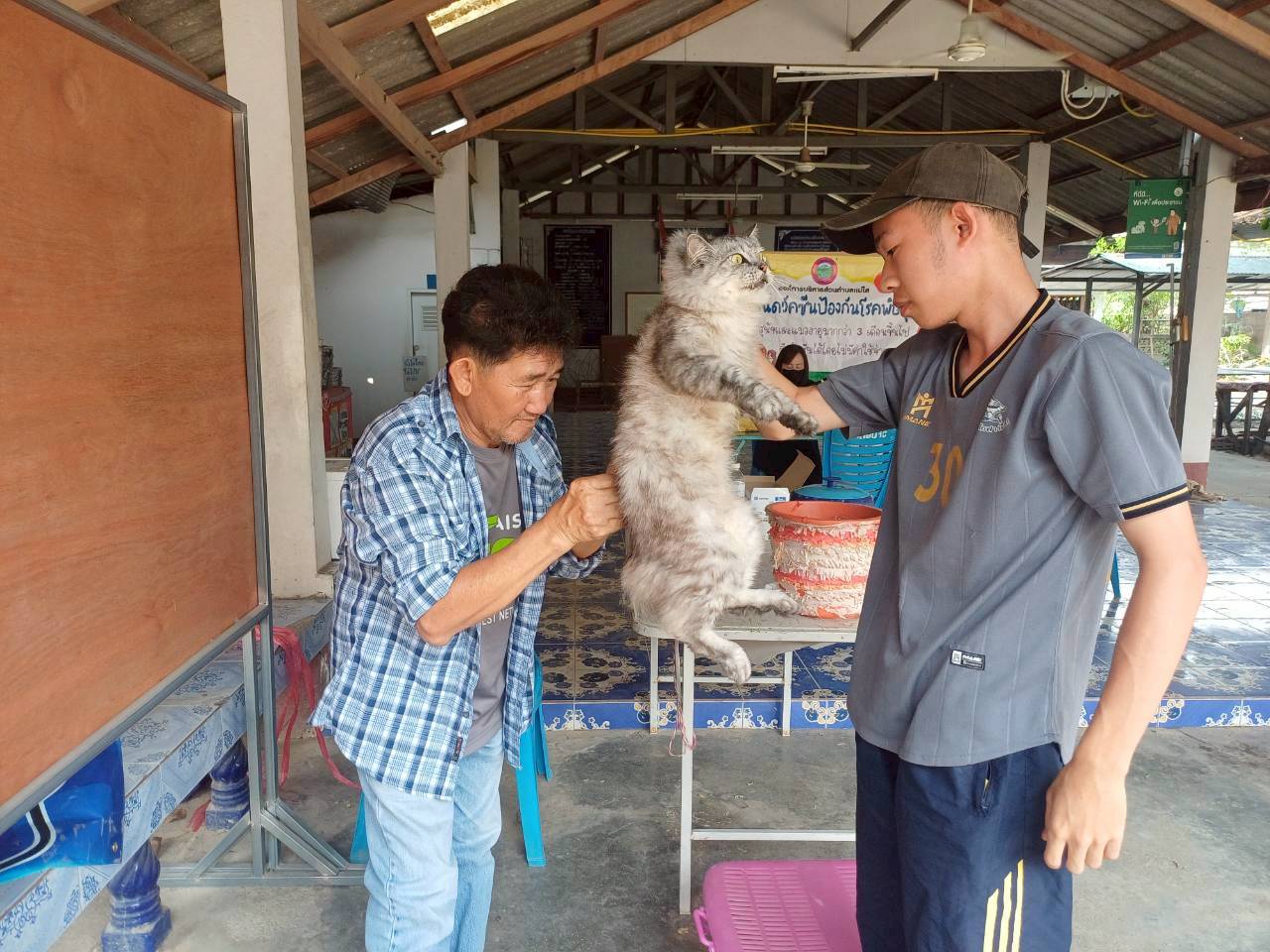ฉีดวัคซีนป้องกันโรคพิษสุนัขบ้า พ.ศ.2569